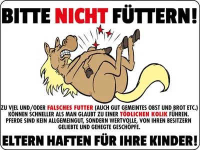 Produktbild von vianmo Holzschild 30x40 cm Pferd bitte nicht füttern Eltern haften