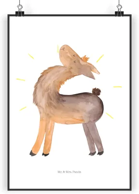 Produktbild von Mr. & Mrs. Panda Bild Lama Stolz DIN A4 - Weiß - Geschenk, Beste Freundin, Kunstdruck, Family, Wandbild, Plakat, drucke, Familie, Lamas, wanddeko