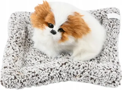 Produktbild von Kleiner Schlafender Hund auf Kissen 18cm Deko Figur Realistisch Plüschtier Tischdeko Geschenk
