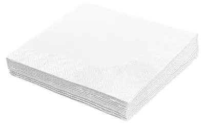 Image de 250 serviettes cocktail 2 plis env. 24x24cm blanc