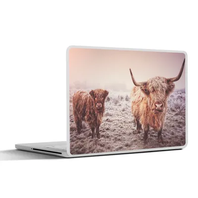 Produktbild von MuchoWow® Laptop Aufkleber Sticker Cover Schottische Hochlandbewohner - Licht - Himmel - Natur 30x21 cm - Sticker für Laptop - Selbstklebend