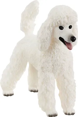 Produktbild von Spielzeugfigur Pudel SCHLEICH 13917