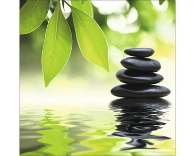 Produktbild von Glasbild Impressions, Feng Shui Motiv: schwarze Steine, grüne Blätter im Wasser, 30x30 cm
