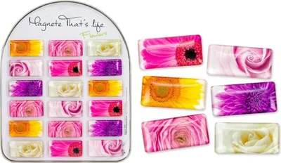 Produktbild von Cool Magnets Flowers 6-fach sort.