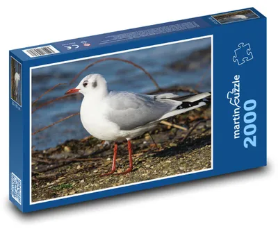 Zdjęcie produktu dla martinpuzzle - Puzzle 2000 - Rybka - ptak, morze