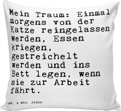 Produktbild von Mr. & Mrs. Panda kuschelkissen 40x40 Mein Traum: Einmal morgens... - Weiß - Geschenk, lustig, Dekokissen, Traum, Kater, Sofakissen, Kissen, witzig, Herrchen, Zitate