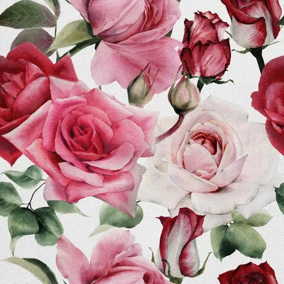 Immagine prodotto di OUTDOOR DEKOSTOFFE OXFORD - Motivo rose su sfondo bianco