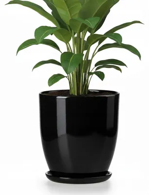 Zdjęcie produktu dla Doniczka Ceramiczna Czarna Połysk Średnica 13 Cm Wysokość 14 Cm Podstawka
