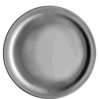 Produktbild von Careware Sicura White Teller flach 25,5cm - 24 Stück