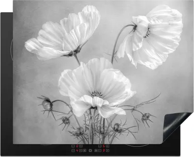 Produktbild von KitchenYeah© Herdabdeckplatte Stilleben - Blumen - Schwarz und weiß - Mohn - Botanisch , 65x52cm, Küche Deko, Glaskeramikkochfeld Herdabdeckung, Abdeckplatte fùr Kochfeld