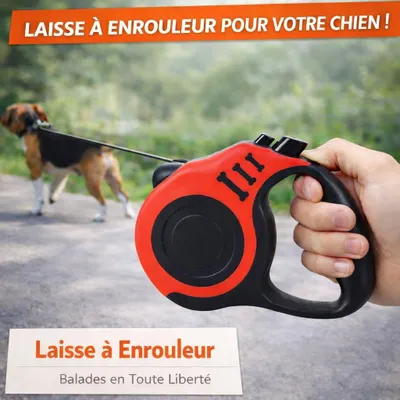 Image de Laisse Rétractable pour Chien 5 m –  jusqu’à 15 kg