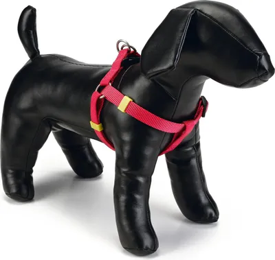 Produktbild von Beeztees Hundegeschirr Uni rosa, Verstellmöglichkeit: 35 - 60 cm