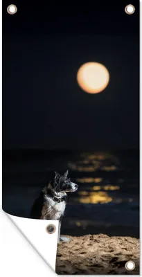 Produktbild von MuchoWow® 80x160 cm Outdoor-Poster Gartendeko Sichtschutz Garten Poster für den Garten  Ein Porträt eines Border Collie mit Vollmond