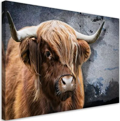 Immagine prodotto di Quadro su tela Mucca scozzese Animali Natura 60x40 Feeby Braun quadro per la parete pronto da appendere