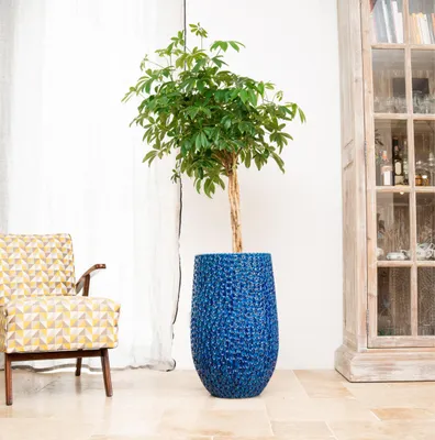 A potted plant in a blue planter sits next to a patterned armchair in a room with a wooden cabinet in the background.