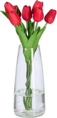 Immagine prodotto di Vaso di vetro