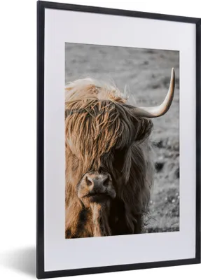 Produktbild von MuchoWow® MuchoWow® Gerahmtes Poster Schottisches Hochlandrind - Tier - Sonne 40x60 cm - Poster mit zchwarzem Bilderrahmen - Poster in Rahmen