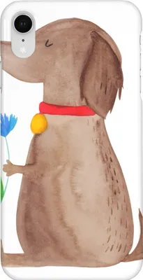Produktbild von Mr. & Mrs. Panda Iphone XR Handyhülle Hund Blume - Weiß - Geschenk, Halsband, Hunde, Hundeliebe, Handy Case, Sprüche, Premium Kunststoff