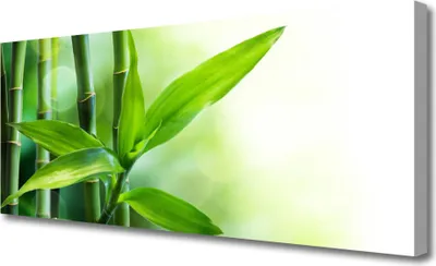 Produktbild von Tulup Leinwand-Bilder 125x50 Wandbild Canvas Kunstdruck Bambusrohre Pflanzen