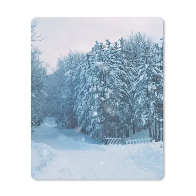 Produktbild von MuchoWow® Mauspad Mousepad Wald - Schnee - Winter 19x23 cm - Mousepads - Maus Mat - Pad - Mausunterlage - Mauspads - Spielen