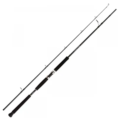 Produktbild von Shimano Fishing Beastmaster Ax Pilk Jiggingrute Silber 2.40 m / 40-95 g Silber 2.40 m