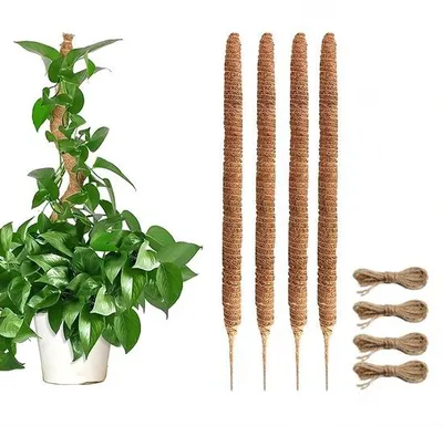 Obrázek produktu pro JustValue mechová tyčinka – sada 4 ks – 50 cm – kokosové vlákno – včetně jutového provázku