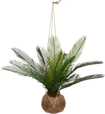 Obrázek produktu pro Umělá palma v kokosovém květináči, závěsná, výška 50 cm