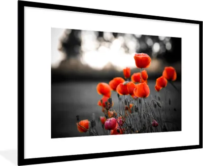 Produktbild von MuchoWow® Gerahmtes Poster Rote Mohnblumen vor schwarzem und weißem Hintergrund 90x60 cm - Poster mit Schwarzem Bilderrahmen Wandposter Rahmen Foto Bilder - Wanddekoration - Fotos