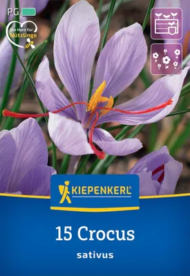 Artikelbild 2 von 'Safrankrokus (15 Stück)' aus der Kategorie Krokuszwiebeln
