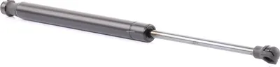 Produktbild von RIDEX 219G0843 Gasfeder Heckklappendämpfer für CHEVROLET SPARK (M300) 376mm