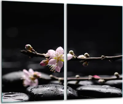 Produktbild von Herdabdeckplatten 2 teilig 30x52 Glaskeramikfeld Abdeckung Glas Blumen