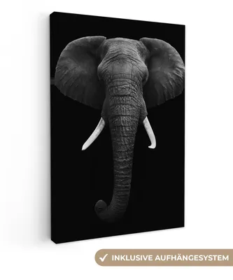 Produktbild von MuchoWow® - Leinwandbilder - Elefant - Wildtiere - Schwarz - Weiß - Porträt, Wandbild, Wanddeko Bilder Wohnzimmer, 60x90 cm