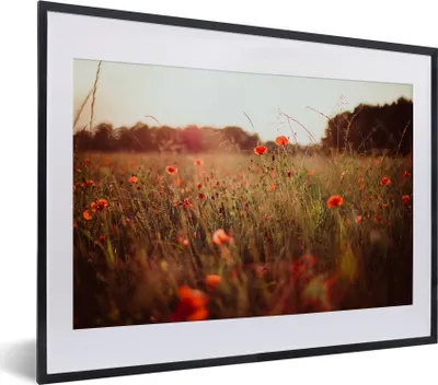 Produktbild von MuchoWow® MuchoWow® Gerahmtes Poster Sonnenuntergang - Blumen - Rot 40x30 cm - Poster mit zchwarzem Bilderrahmen - Bilderrahmen - Poster im Rahmen