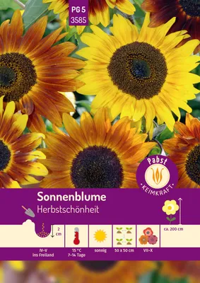 Artikelbild 1 von 'Sonnenblume Herbstschönheit' aus der Kategorie Sonnenblumensamen