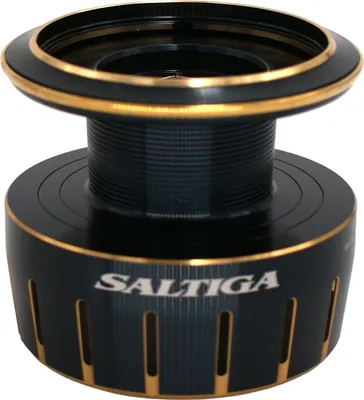 Image de DAIWA Bobine de rechange pour 23 Saltiga, 5000-H, 19310-050