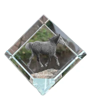Immagine prodotto di Percheron dado di cristallo con cavallo Art-Dog