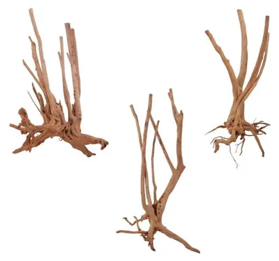Produktbild von Stump Wurzel M 60-80 cm