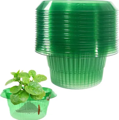 Produktbild von 20 Stück Gemüse Schutzhauben, Schneckenschutz rund, dick, kommerziell, Pflanzenschutz, grün transparent, robust, Garten, Hochbeet, Pflanzenabdeckung