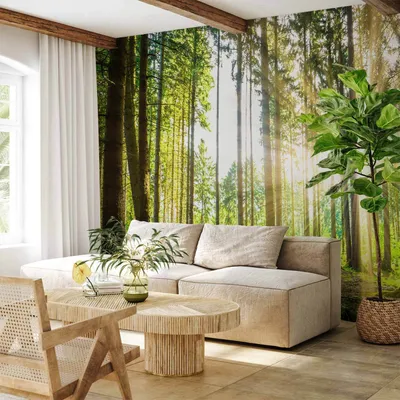 Produktbild von Vlies Fototapete - Forest Tales 100x70 cm Landschaften c-B-0098-a-b