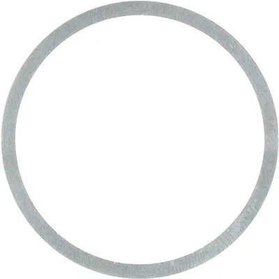 Image de Elvedes Centerlock 0,2 mm entretoise 4 unités argent  Argent taille unique