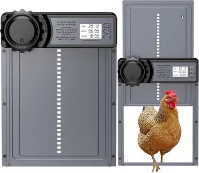 Produktbild von Hühnerklappe, Aluminium, programmierbare Öffnung, raubtiersicher, für Garten