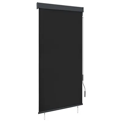 Produktbild von Außenrollo 80 x 250 cm Anthrazit