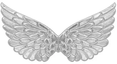 Image de Les ailes d'argent - Widmann