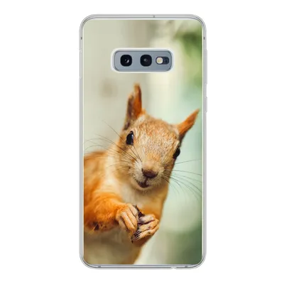Produktbild von MuchoWow® Handyhülle Schutzhülle Hülle für Samsung Galaxy S10e Eichhörnchen - Lustig - Nuss - Kinder - Jungen - Mädchen - Kind Silikon Softcase Handy Hülle - Handy