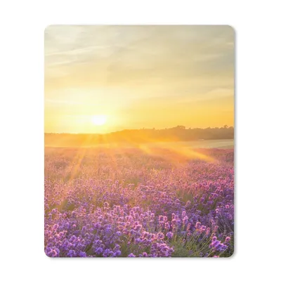 Produktbild von MuchoWow® Mauspad Mousepad Lavendel - Sonnenuntergang - Bäume - Lila 19x23 cm - Mousepads - Maus Mat - Pad - Mausunterlage - Mauspads - Spielen