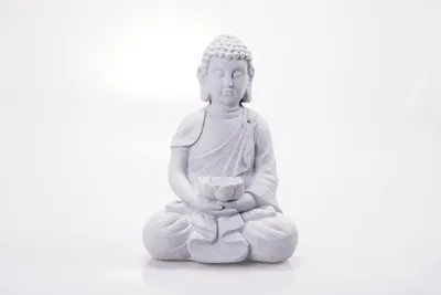 Immagine prodotto di Hausleben: Elegante statua di Buddha seduto con vasca per uccelli – Statua in magnesite con aspetto cemento, dimensioni 28,5 x 19 x 40 cm. Ideale come decorazione da giardino resistente alle intemperie o come elemento d'arredo per la casa. La versatile vasca può essere utilizzata come portacandele o come vasca per uccelli