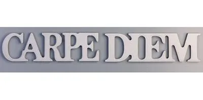 Produktbild von 2tlg. Set Magnete Carpe Diem silber Magnet
