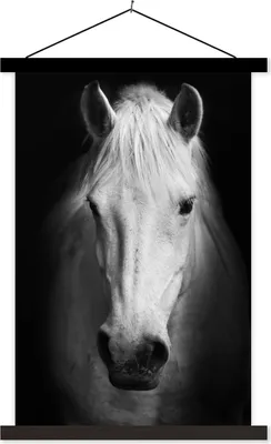 Produktbild von MuchoWow® Textilposter Pferd - Porträt - Schwarz - Weiß 120x180 cm mit schwarzem Rahmen - Fotos