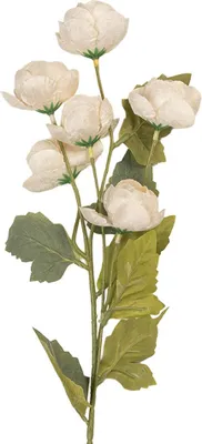 Image de Clayre & Eef Fleur artificielle 10x10x63 cm blanc plastique