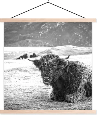 Produktbild von MuchoWow® Textilposter Schottisches Hochlandrind - Berg - Tiere 60x60 cm mit holzfarbenen Rahmen - Wanddekoration